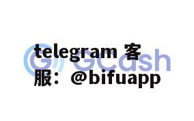 菲律宾Gcash支付扫描问题解决：币付Pay代收代付服务