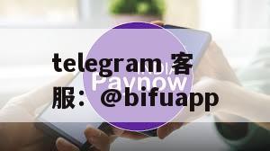 Speedlypay：为菲律宾商户提供本地支付结算服务