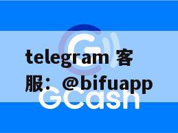 菲律宾gcash支付接入：代收代付与实时结算通道